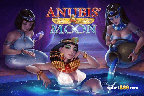 Multi-Sport Coverage